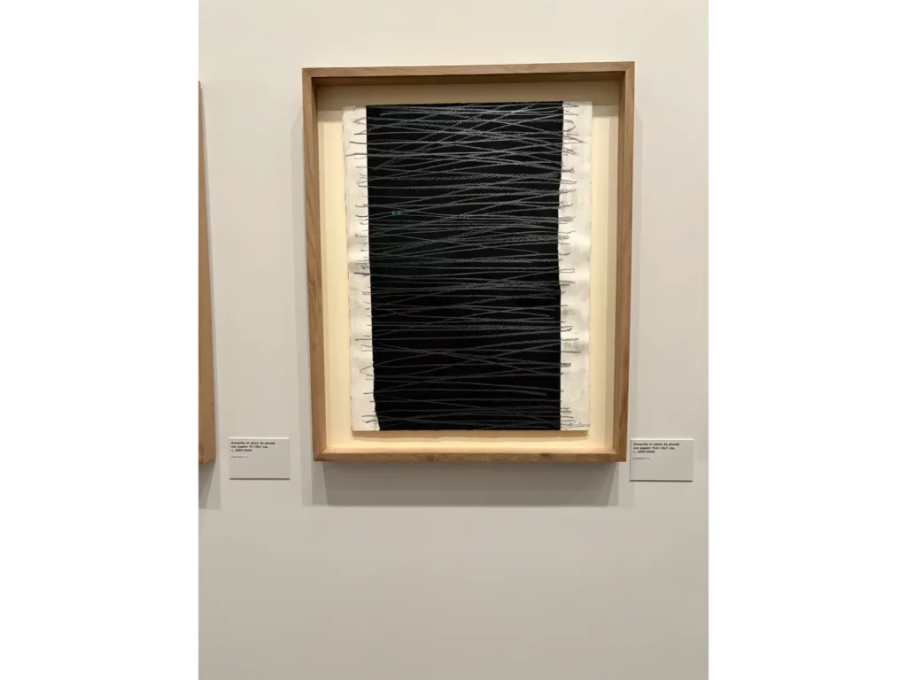 SOULAGES UNE AUTRE LUMIERE